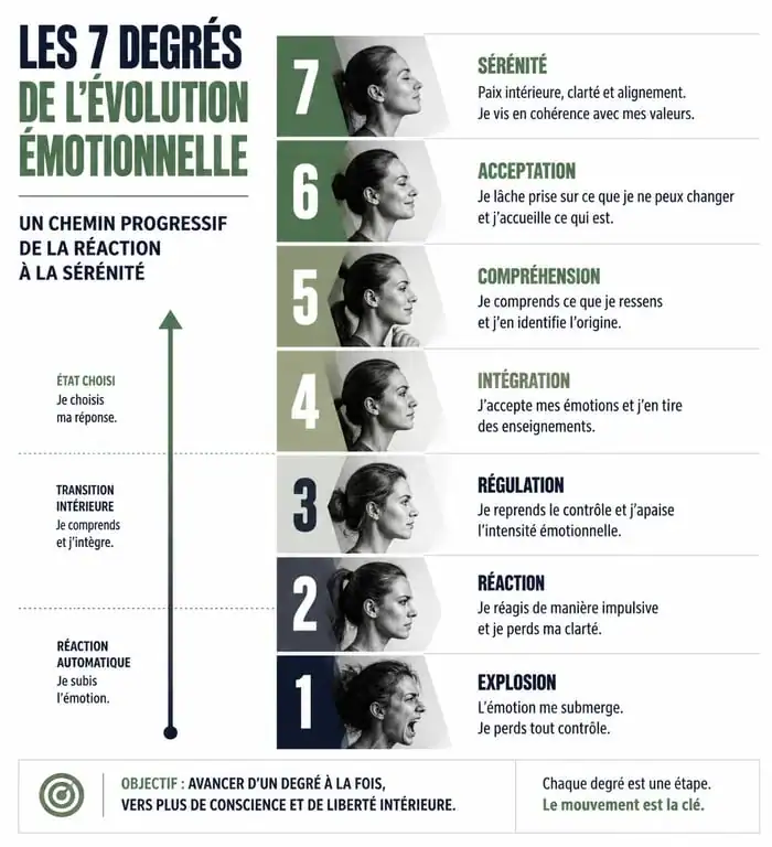 Infographie des 7 degrés de la maturité émotionnelle : de l'explosion à la sérénité