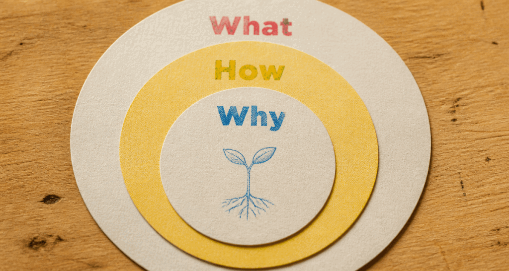 why how what cercles papier risographie