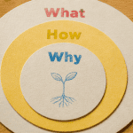 why how what cercles papier risographie